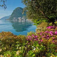 Lugano