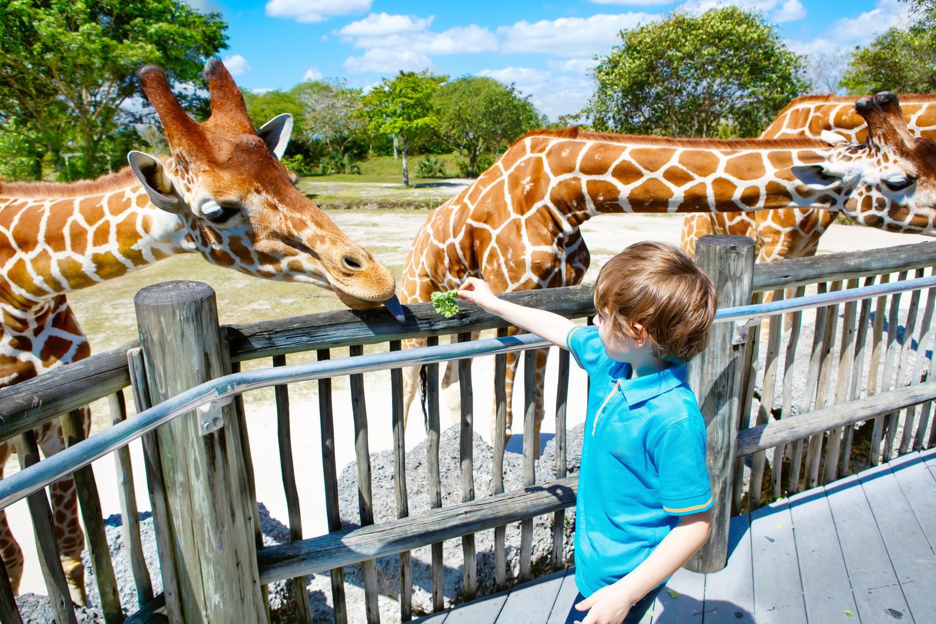 Die sechs schönsten Tierparks der Schweiz