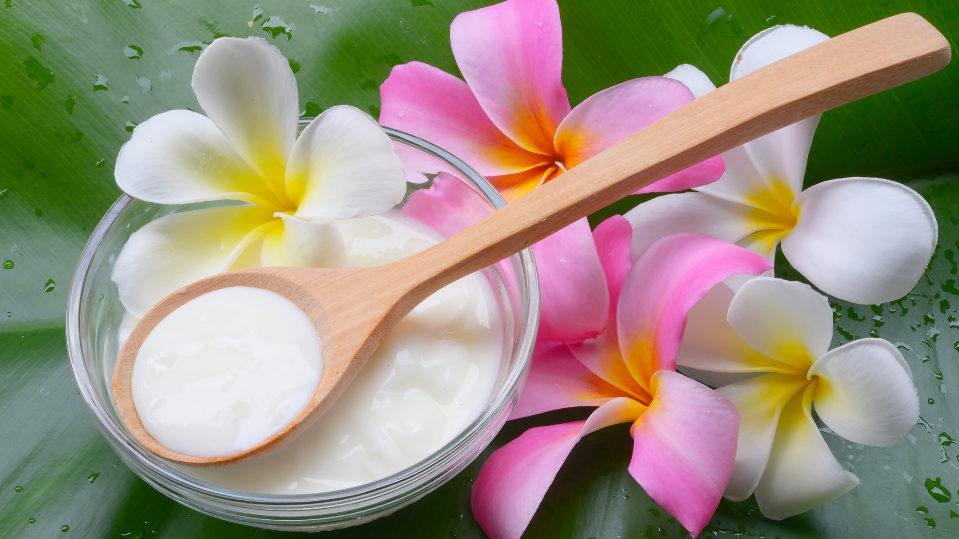 3 tolle Rezepte für selbstgemachte Gesichtsmasken