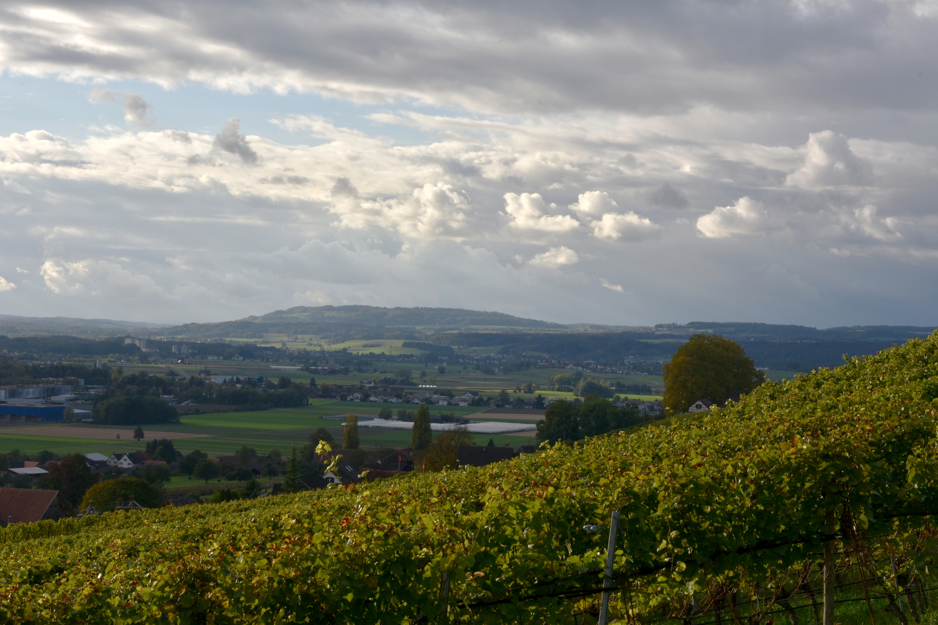 Velotouren im Thurgau – die Top 4