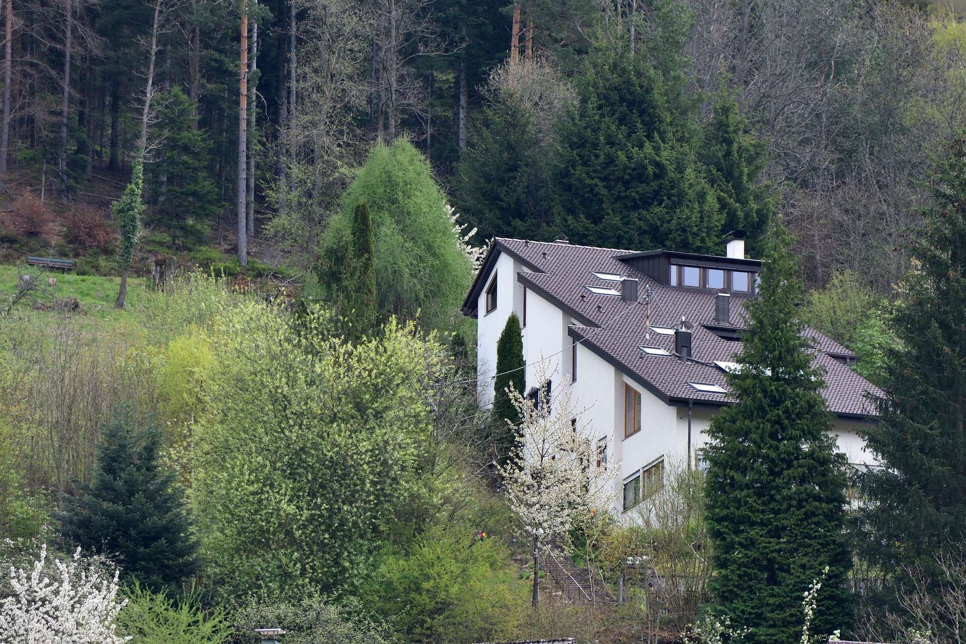 Bauen am Hang – Tipps zum Hausbau an Hanglage