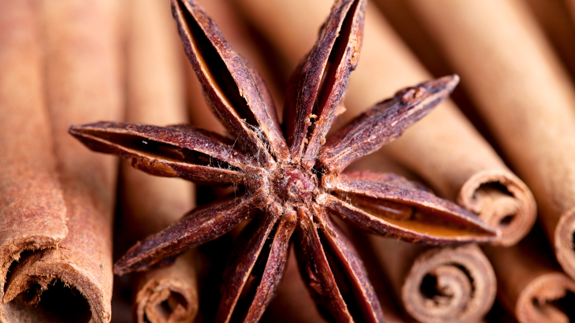 Zimt, Nelke, Sternanis - festlicher Duft und gut für die Gesundheit