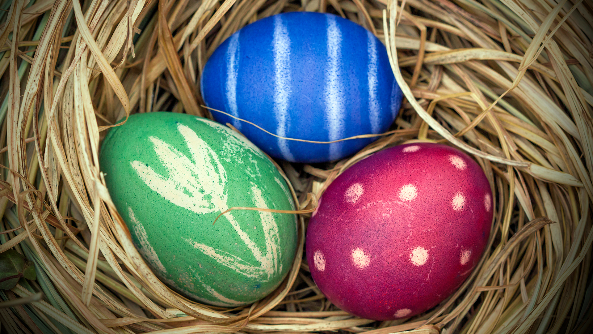 Haarpflege mit Ei - Eier gehören zu Ostern, wie der Hase, der sie bringt. Doch man sollte nicht alle färben, sondern das eine oder andere rohe Ei für die Haarpflege nutzen.