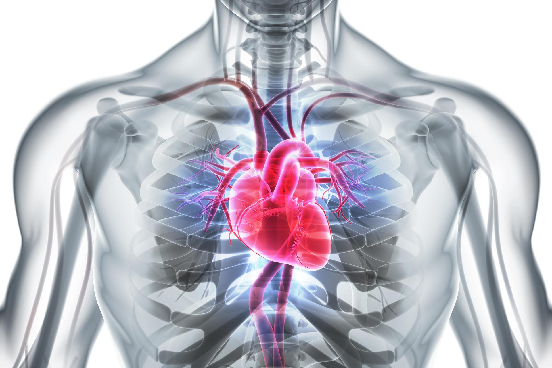 Cardio: Warum Ausdauertraining so wichtig ist