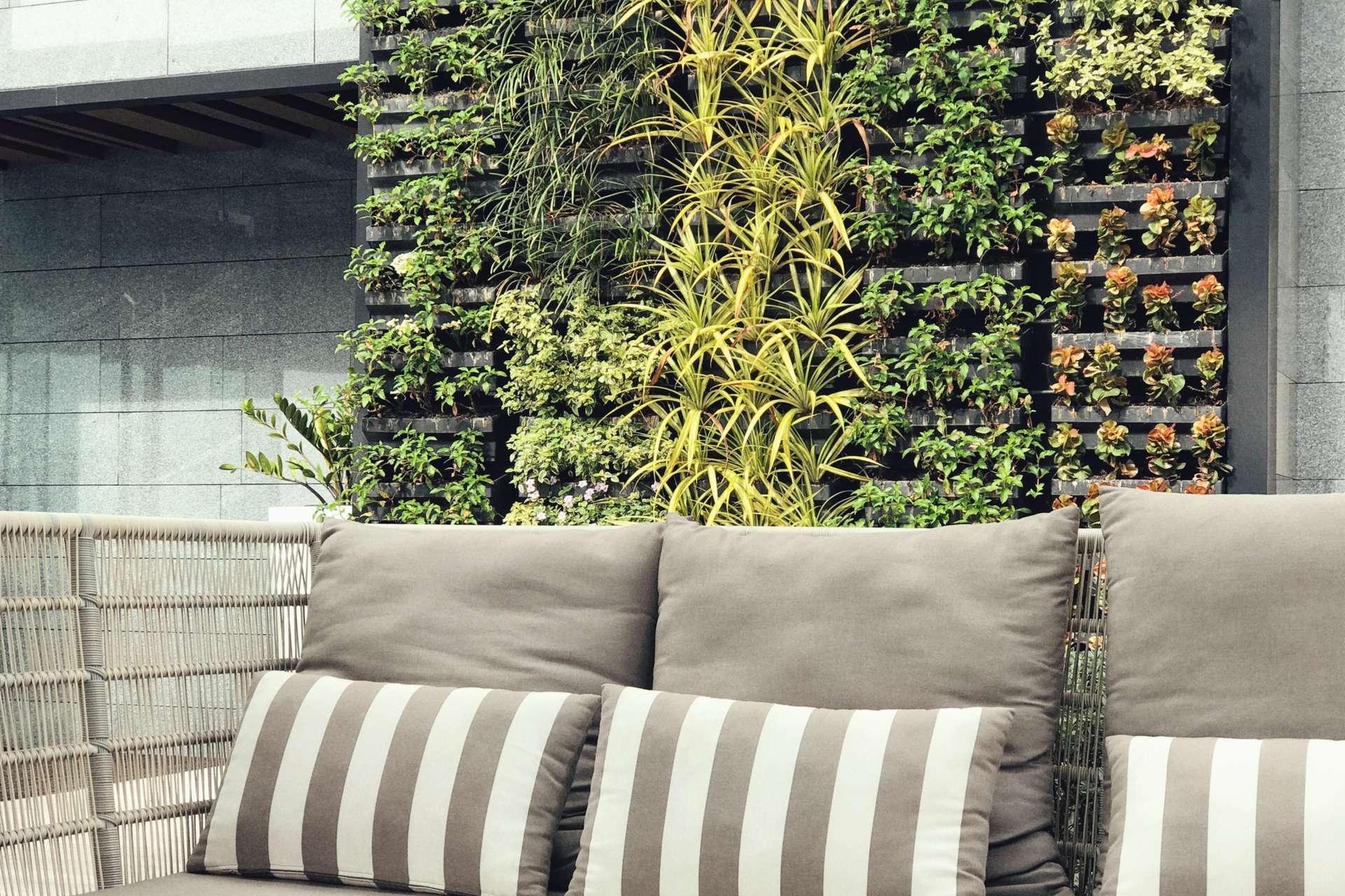 Wann ist der richtige Zeitpunkt um den Rasen zu vertikutieren?