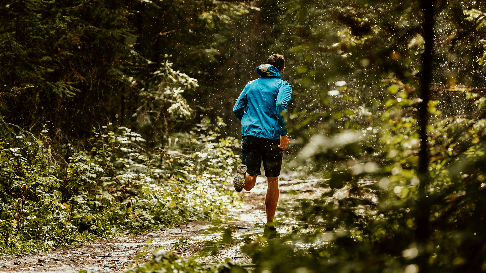 Fit, gesund und schlank dank Vitaparcours