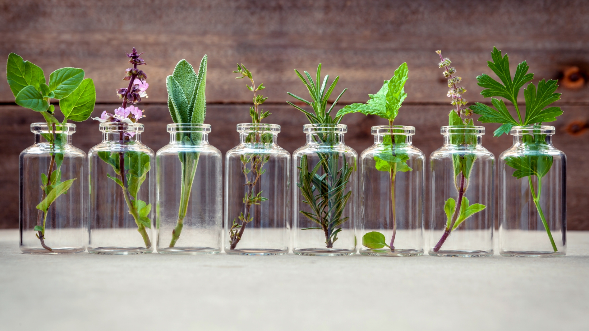 Pflanzliche Heilmittel - Pflanzen können auch Medizin sein und bei leichten Erkrankungen helfen.