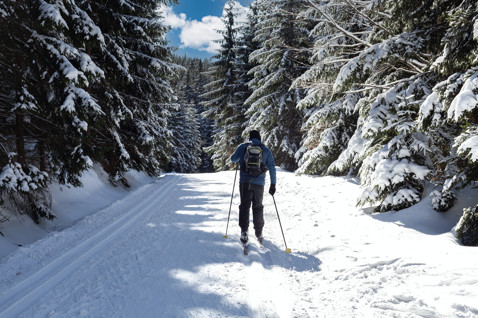 Langlauf in Schaffhausen: Die Top 3 der begehrtesten Langlaufloipen