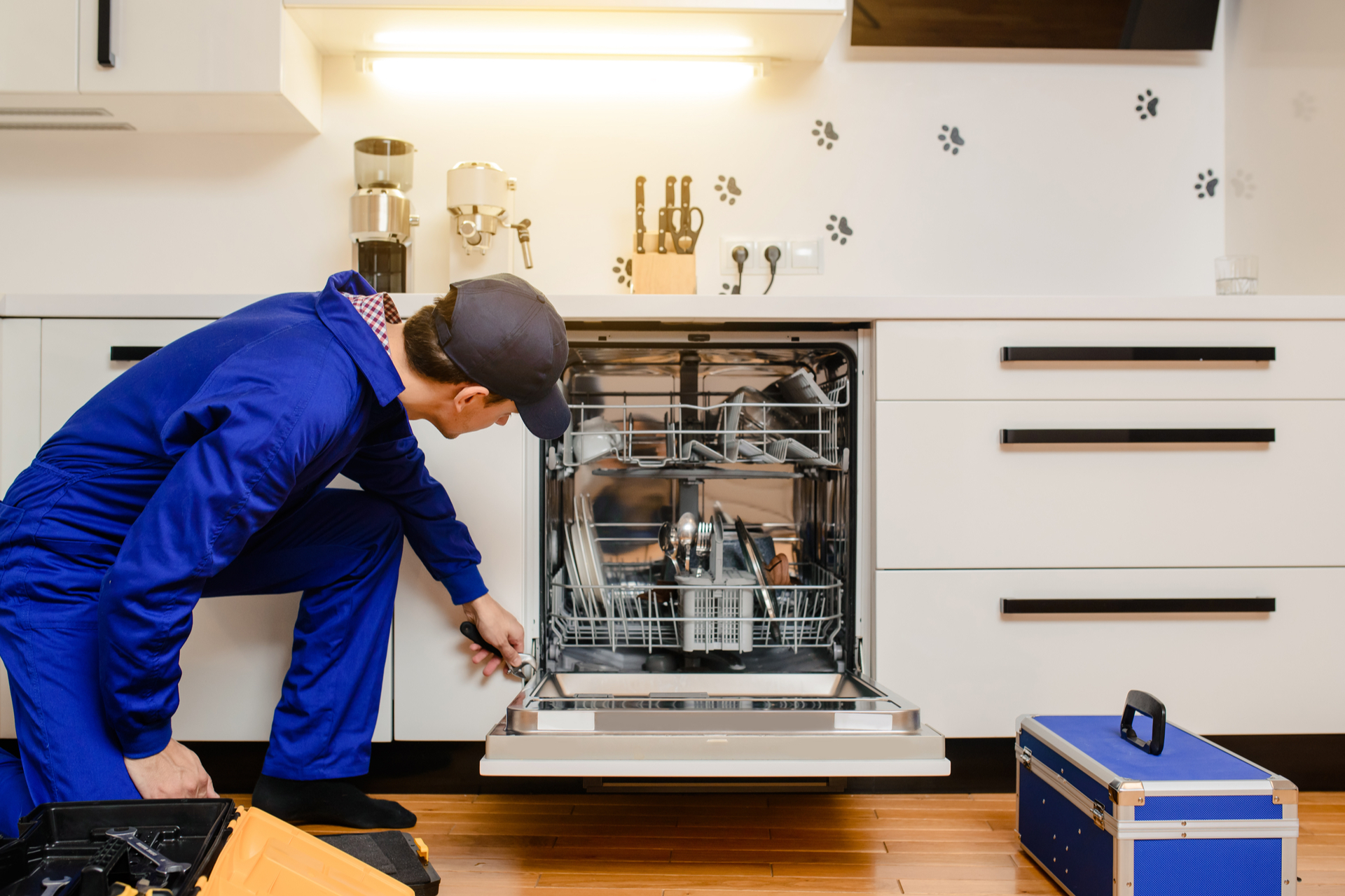 Geschirrspüler Reparatur – Umweltschutz im Alltag