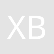 XB-INSTITUTE, BERISHA MEDIAMATIK