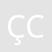 Çaliskan Consulting